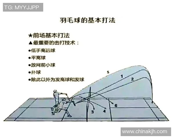 南京羽毛球队战术解析:从技术细节到团队协作的全方位探讨 南京羽毛球队战术解析:从技术细节到团队协作的全方位探讨