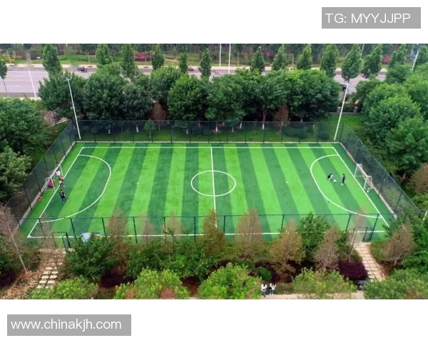 重磅专题：西安乒乓球队如何通过阵地战革新提升竞技水平与团队协作能力